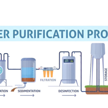 Ozone vs. Chlorine in Sewage Disinfection: A Comparative Study